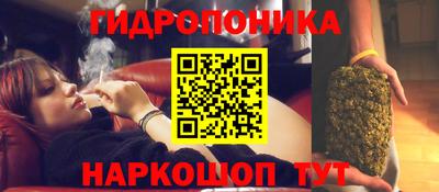 мяу мяу мука Будённовск