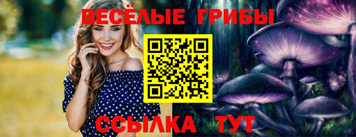 Псилоцибиновые грибы мицелий  Галлюциногенные грибы MAGIC MUSHROOMS  Тельмана  Вход с VPN 